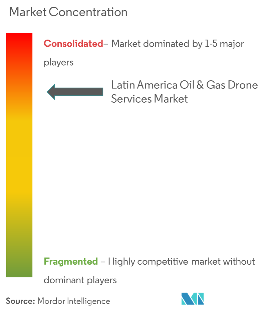 Latin America Oil & Gas Drone Services Market - Market Concentration